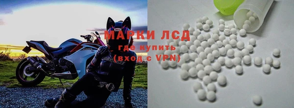 хмурый Абаза