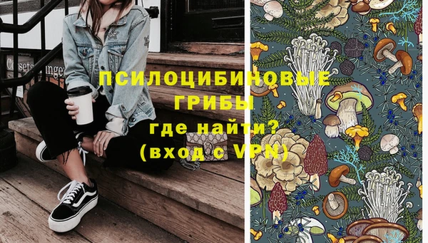хмурый Абаза