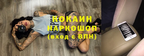 хмурый Абаза