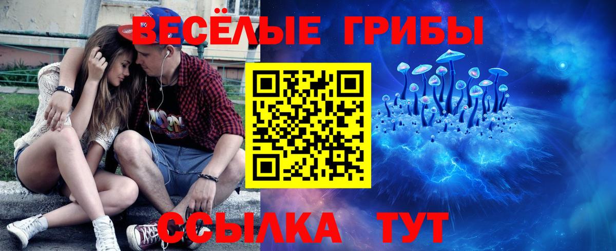 Псилоцибиновые грибы MAGIC MUSHROOMS  Вход с VPN  Псилоцибиновые грибы Cubensis  Великий Новгород 