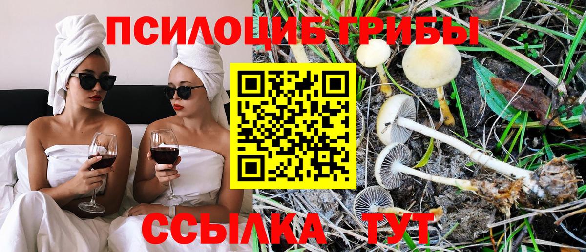 Галлюциногенные грибы Magic Shrooms Великий Новгород