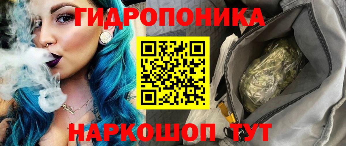 Бошки марихуана OG Kush Великий Новгород